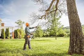 Seasonal Cleanup in Deforest, WI